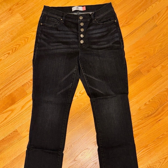 CAbi straight button fly - Picture 2 of 4